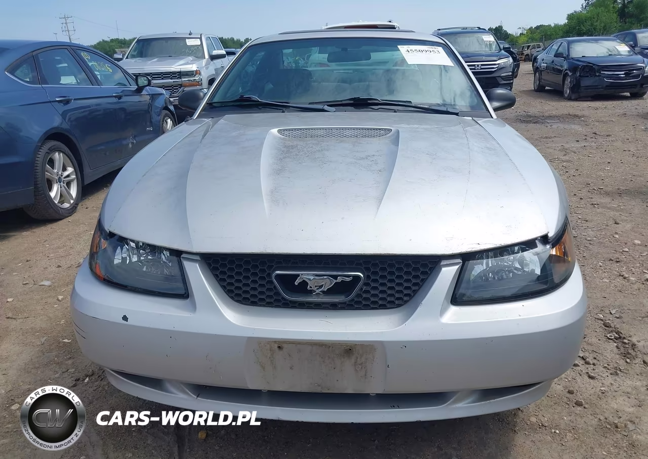 2001 Ford Mustang VIN:1FAFP40421F203007 - 6