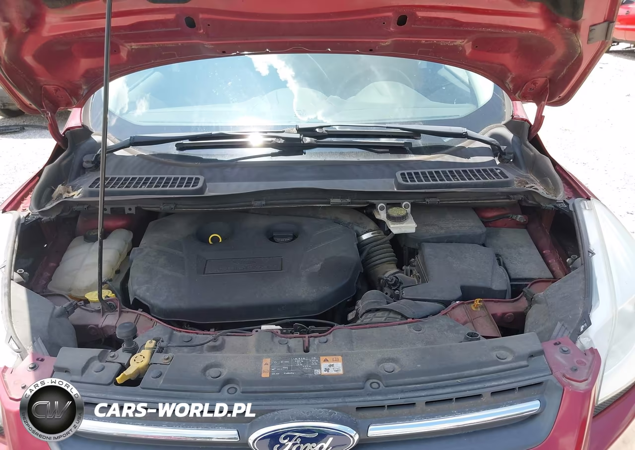 2014 Ford Escape Se VIN:1FMCU0G96EUD35796 - 10