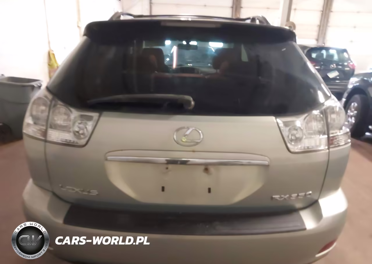 2009 Lexus Rx 350 VIN:2T2HK31U59C113487 - 16