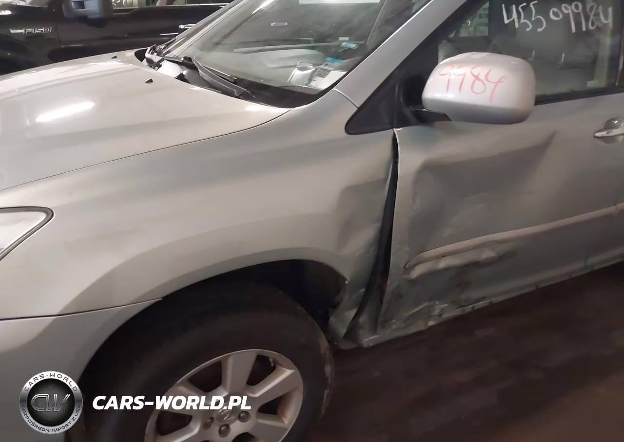 2009 Lexus Rx 350 VIN:2T2HK31U59C113487 - 6