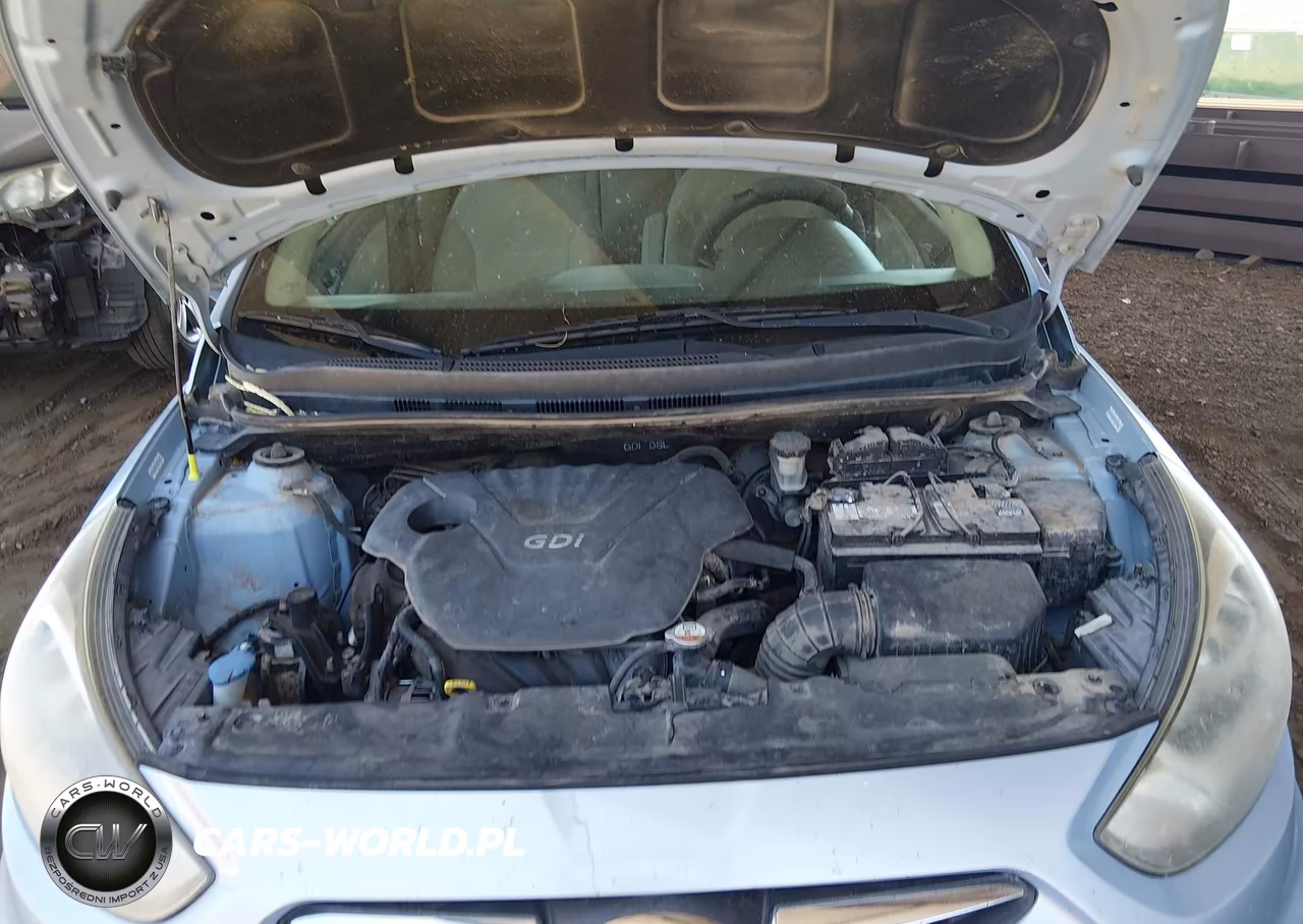 2014 Hyundai Accent Gls VIN:KMHCT4AE6EU598449 - 10