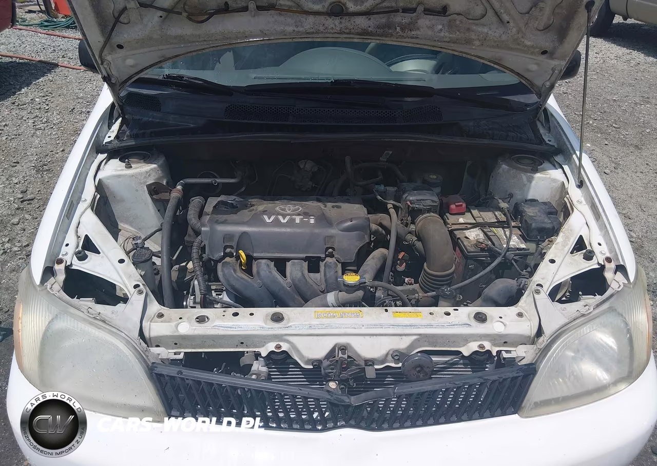 2000 Toyota Echo VIN:JTDBT123XY0079587 - 10