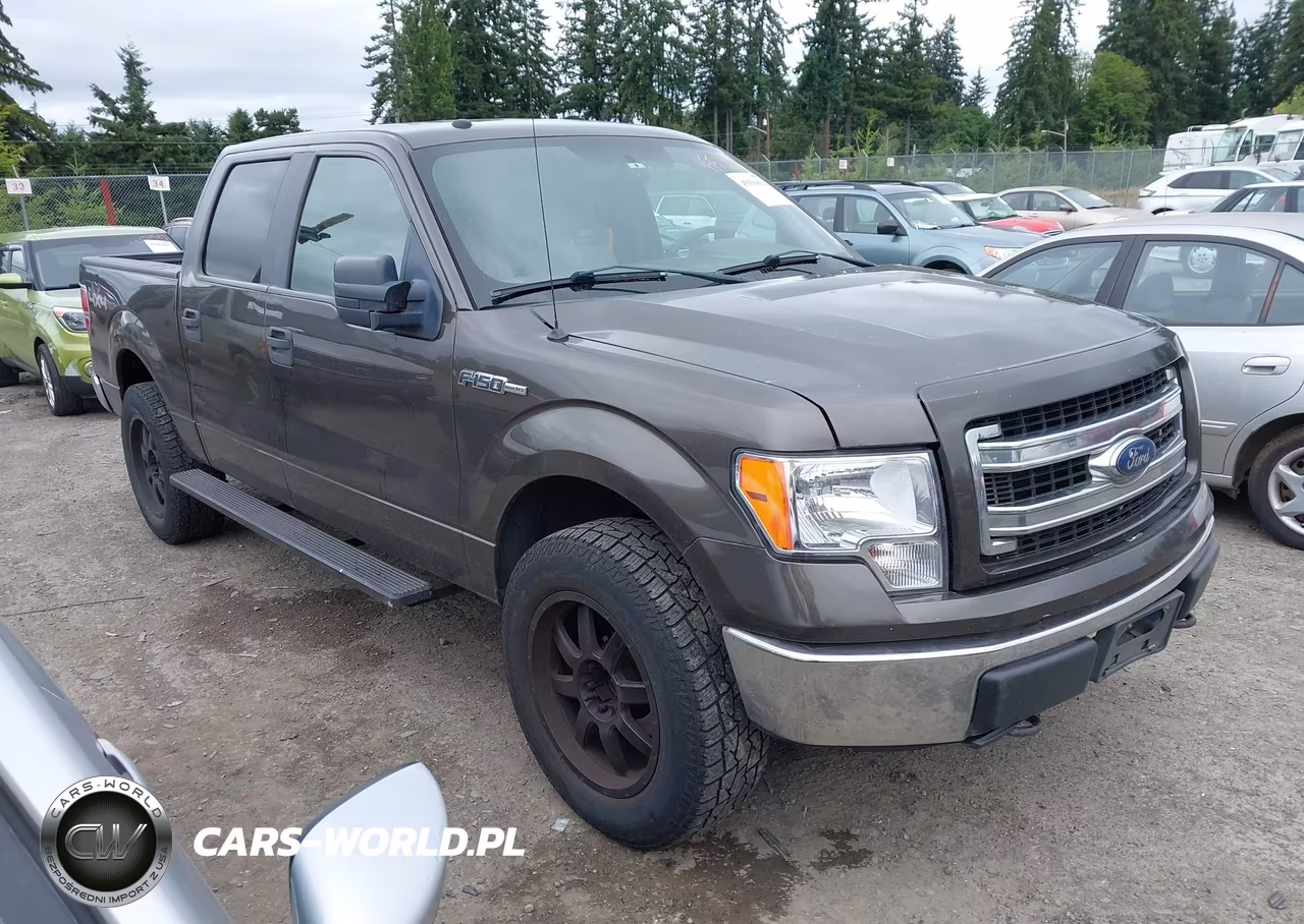 2009 Ford F-150 Xl-Xlt