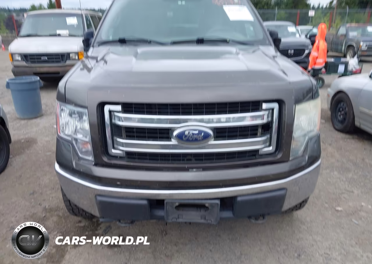 2009 Ford F-150 Xl-Xlt VIN:1FTRW14859FA65965 - 12