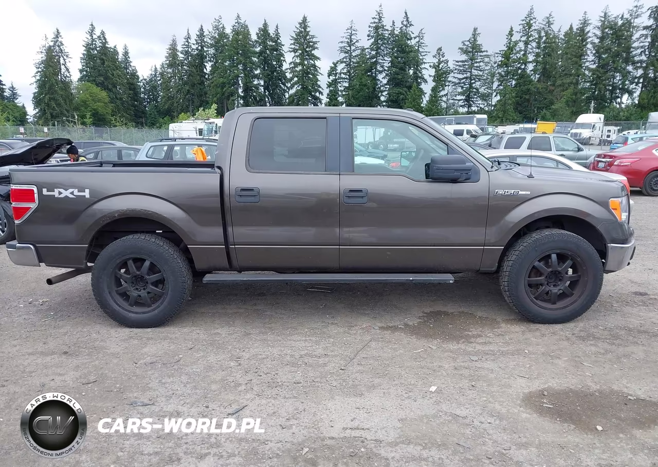 2009 Ford F-150 Xl-Xlt VIN:1FTRW14859FA65965 - 13