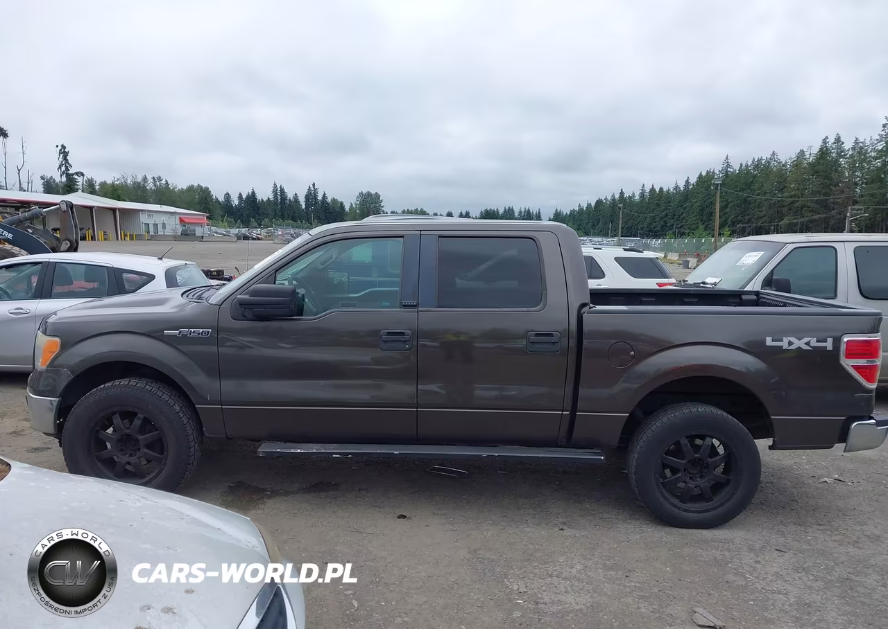 2009 Ford F-150 Xl-Xlt VIN:1FTRW14859FA65965 - 14