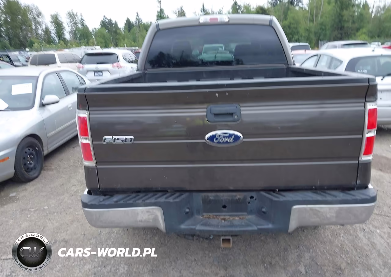 2009 Ford F-150 Xl-Xlt VIN:1FTRW14859FA65965 - 16