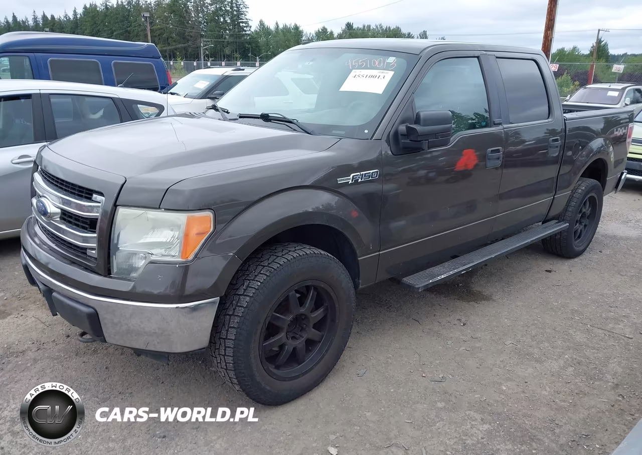 2009 Ford F-150 Xl-Xlt VIN:1FTRW14859FA65965 - 2