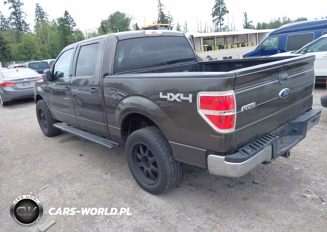 2009 Ford F-150 Xl-Xlt VIN:1FTRW14859FA65965 - 3