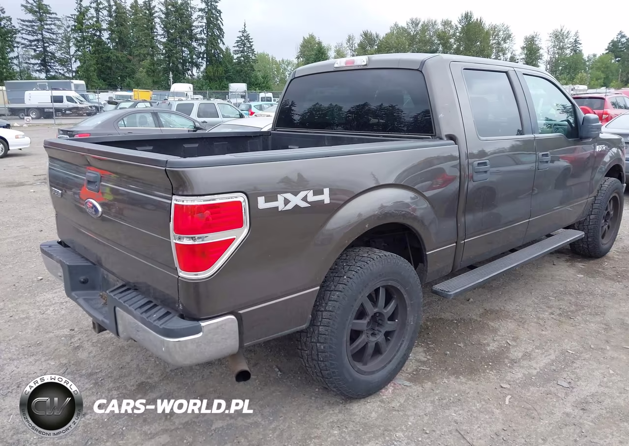 2009 Ford F-150 Xl-Xlt VIN:1FTRW14859FA65965 - 4