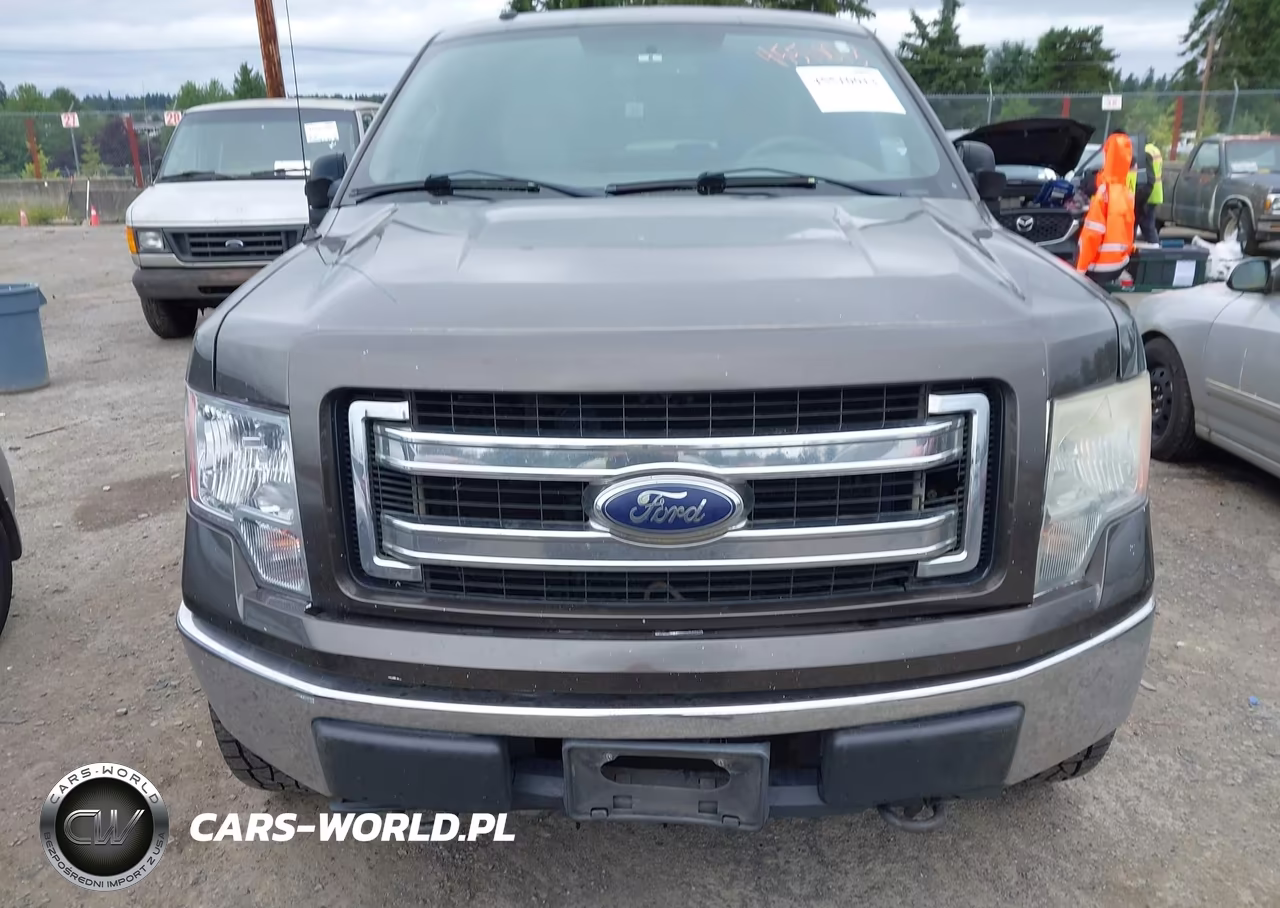 2009 Ford F-150 Xl-Xlt VIN:1FTRW14859FA65965 - 6