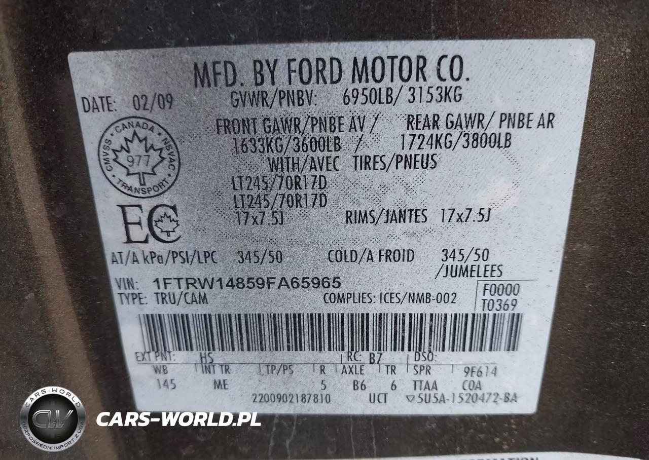 2009 Ford F-150 Xl-Xlt VIN:1FTRW14859FA65965 - 9