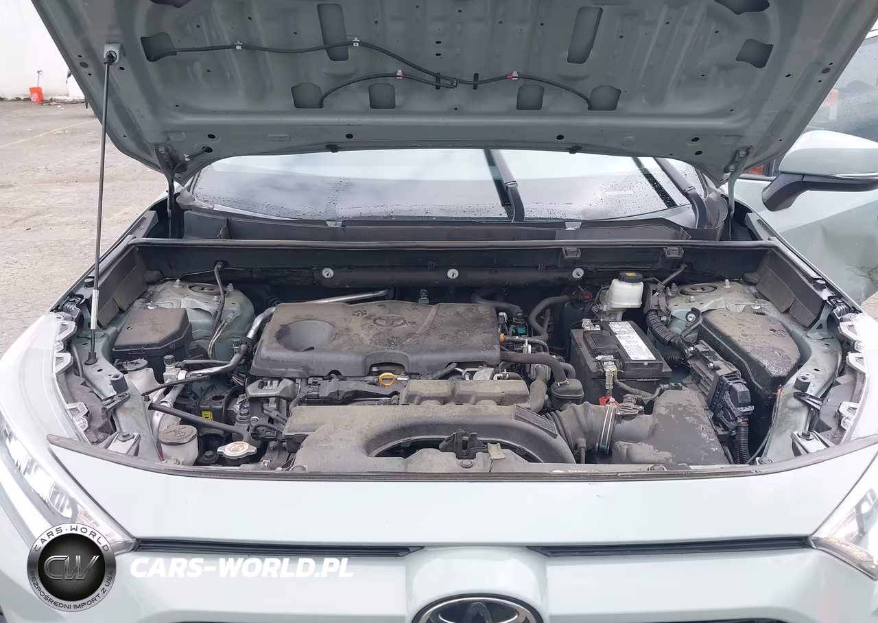 2019 Toyota Rav4 Xle Premium VIN:2T3C1RFV7KC030209 - 10