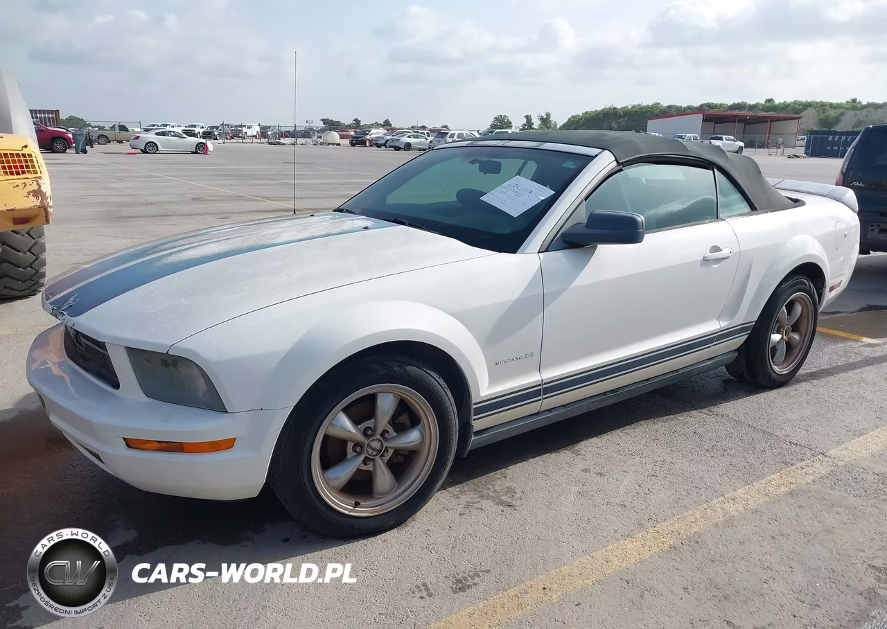 2006 Ford Mustang V6 VIN:1ZVFT84N165220004 - 2