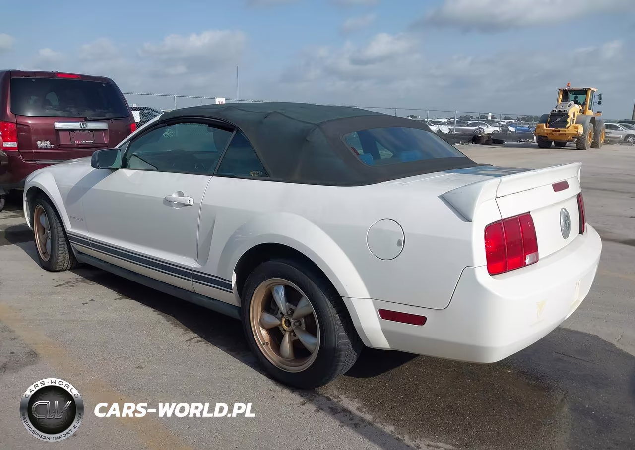 2006 Ford Mustang V6 VIN:1ZVFT84N165220004 - 3