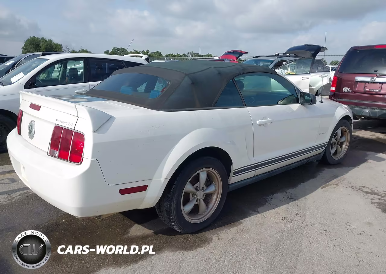 2006 Ford Mustang V6 VIN:1ZVFT84N165220004 - 4