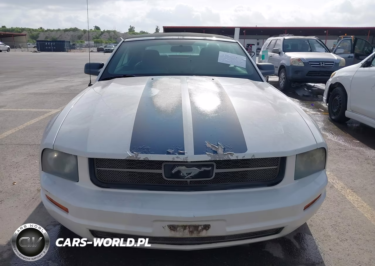 2006 Ford Mustang V6 VIN:1ZVFT84N165220004 - 6