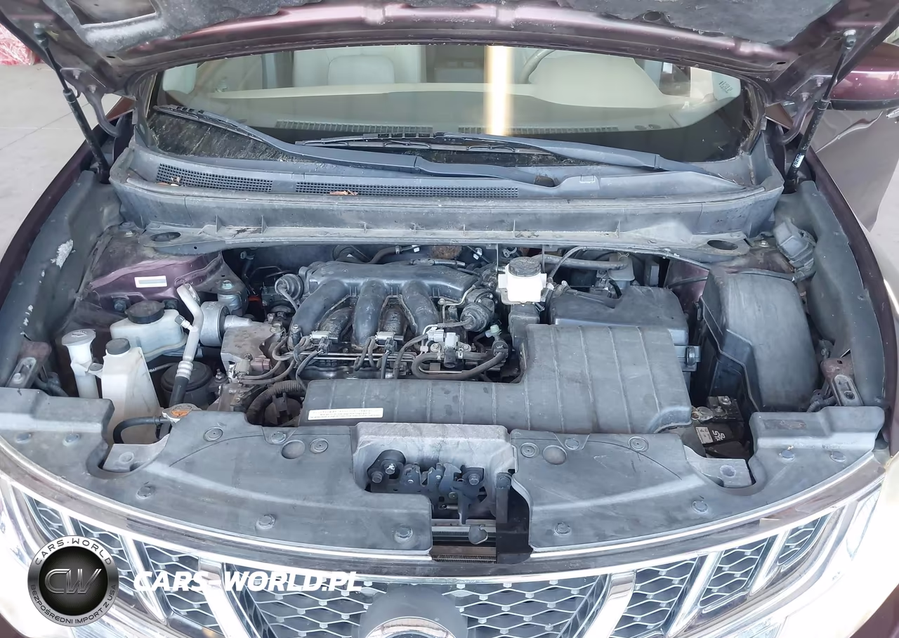 2014 Nissan Murano Le VIN:JN8AZ1MW2EW503925 - 10