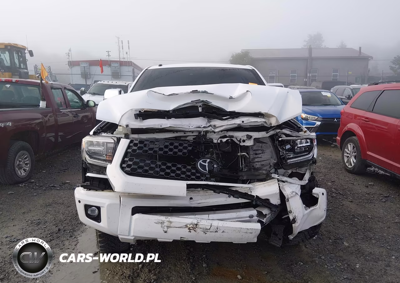 2019 Toyota Tundra Platinum 5.7L V8 VIN:5TFAY5F1XKX841442 - 13