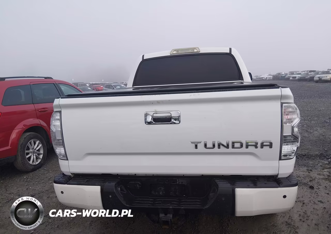 2019 Toyota Tundra Platinum 5.7L V8 VIN:5TFAY5F1XKX841442 - 17