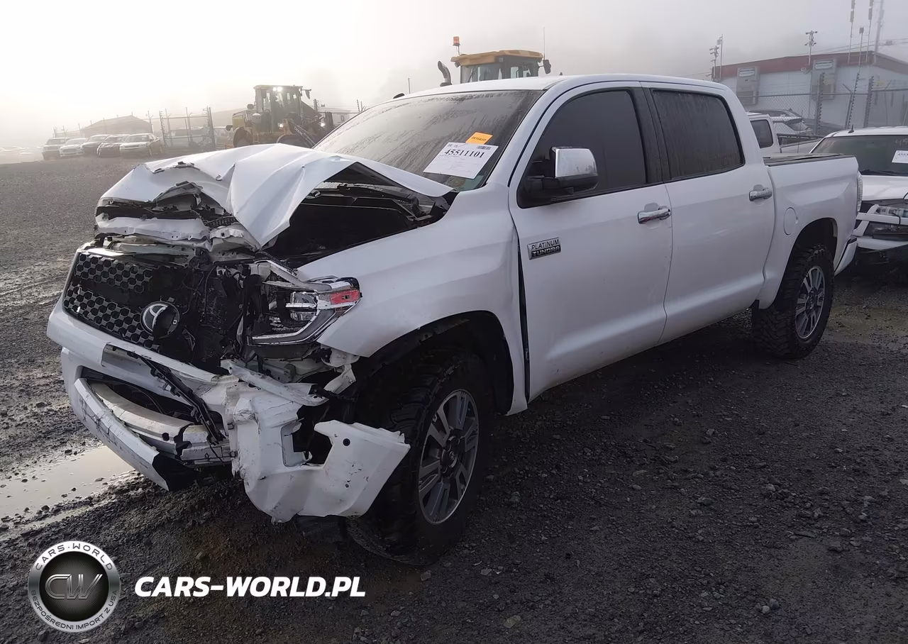 2019 Toyota Tundra Platinum 5.7L V8 VIN:5TFAY5F1XKX841442 - 2