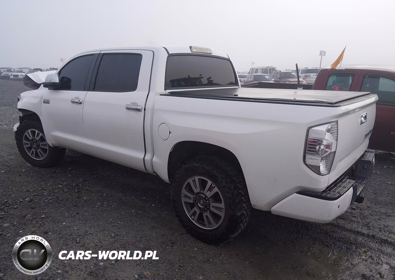 2019 Toyota Tundra Platinum 5.7L V8 VIN:5TFAY5F1XKX841442 - 3