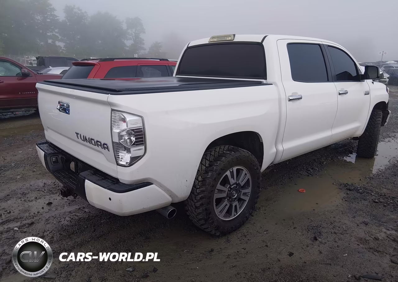 2019 Toyota Tundra Platinum 5.7L V8 VIN:5TFAY5F1XKX841442 - 4