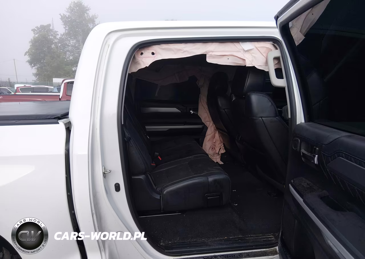 2019 Toyota Tundra Platinum 5.7L V8 VIN:5TFAY5F1XKX841442 - 8