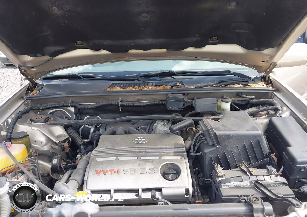 2006 Toyota Highlander V6 VIN:JTEGP21A560119731 - 10