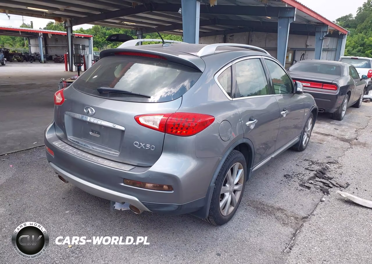 2017 Infiniti Qx50 VIN:JN1BJ0RP2HM381511 - 4