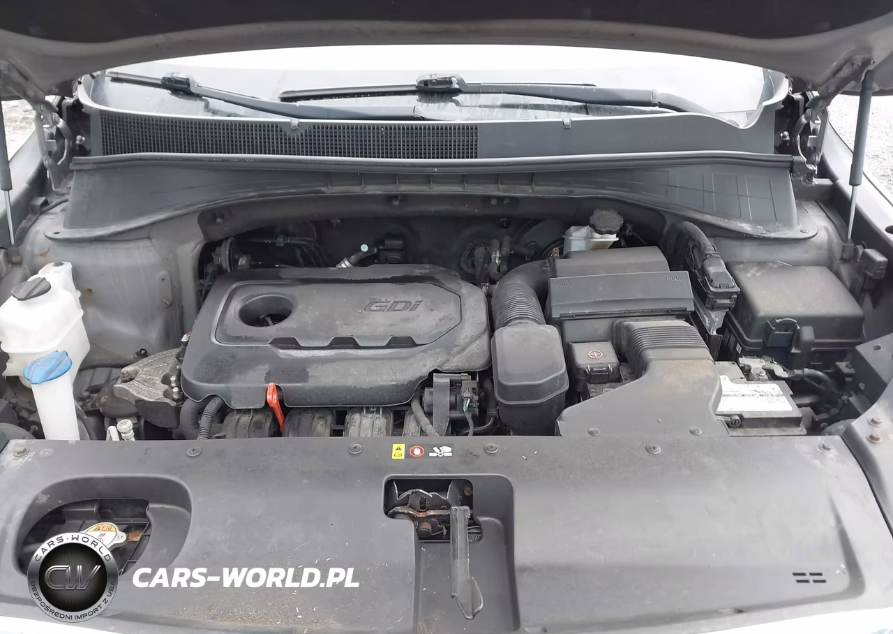2016 Kia Sorento 2.4L Lx VIN:5XYPGDA3XGG014292 - 10