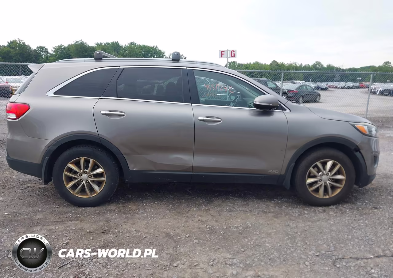 2016 Kia Sorento 2.4L Lx VIN:5XYPGDA3XGG014292 - 13