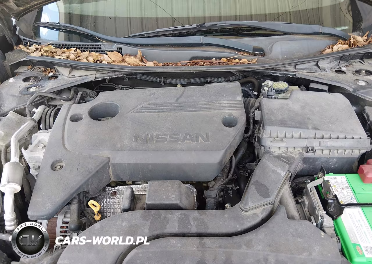2016 Nissan Altima 2.5 Sr VIN:1N4AL3AP3GC286207 - 10