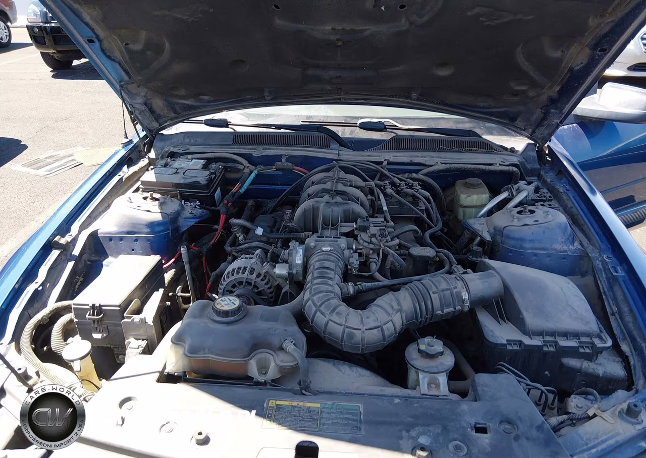 2006 Ford Mustang V6 VIN:1ZVFT84N165222299 - 10