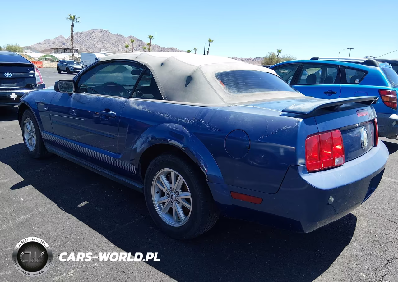 2006 Ford Mustang V6 VIN:1ZVFT84N165222299 - 3