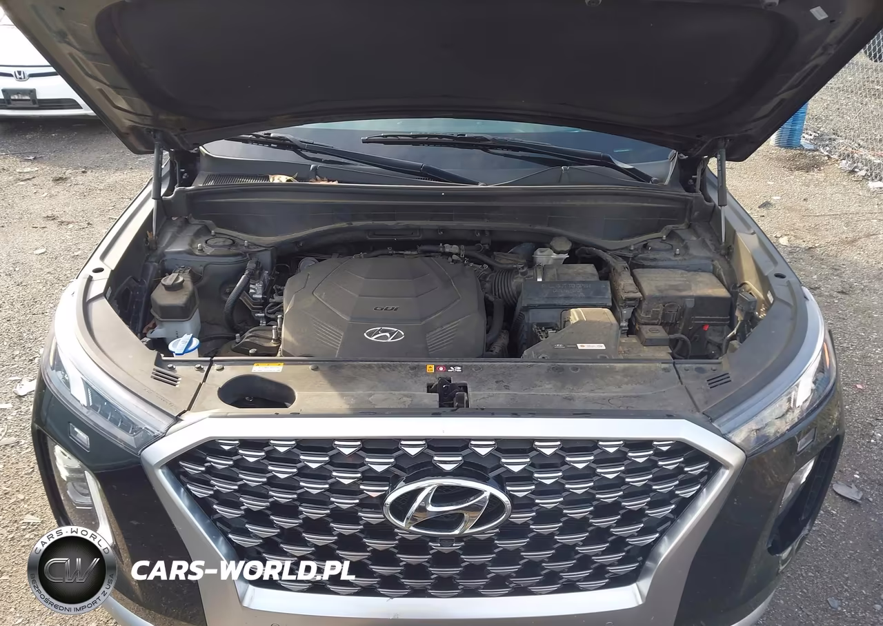 2021 Hyundai Palisade Calligraphy VIN:KM8R7DHEXMU186571 - 10