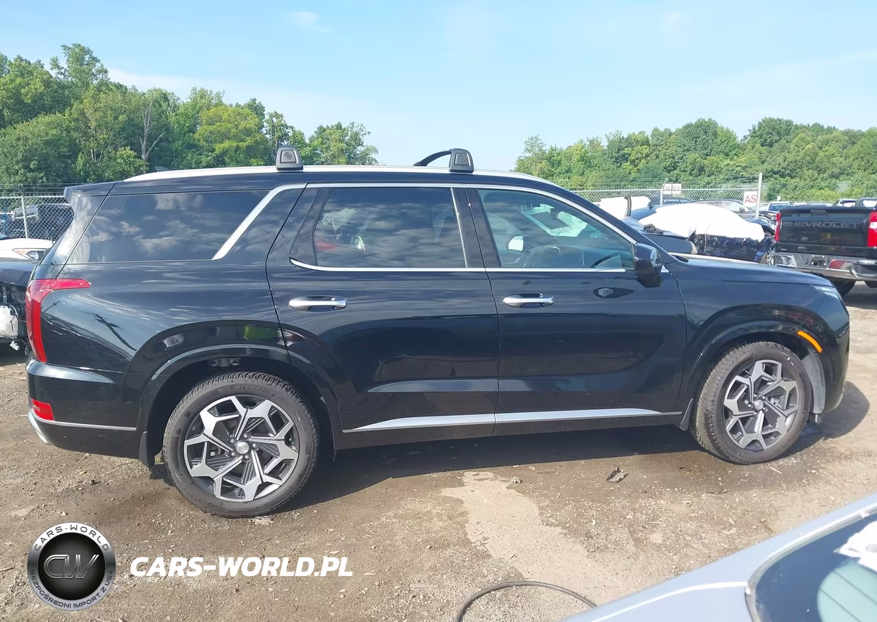 2021 Hyundai Palisade Calligraphy VIN:KM8R7DHEXMU186571 - 13