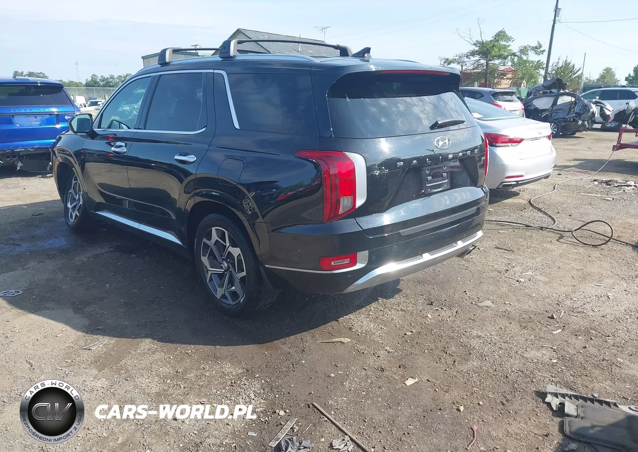 2021 Hyundai Palisade Calligraphy VIN:KM8R7DHEXMU186571 - 3
