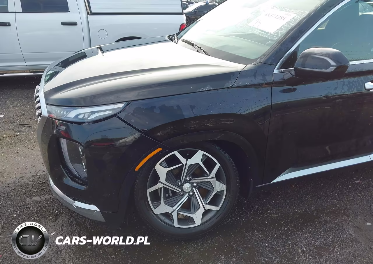 2021 Hyundai Palisade Calligraphy VIN:KM8R7DHEXMU186571 - 6