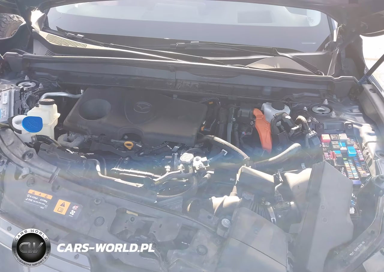 2025 Mazda Cx-50 Hybrid Premium Plus Package VIN:7MMVAAEW4SN116507 - 10