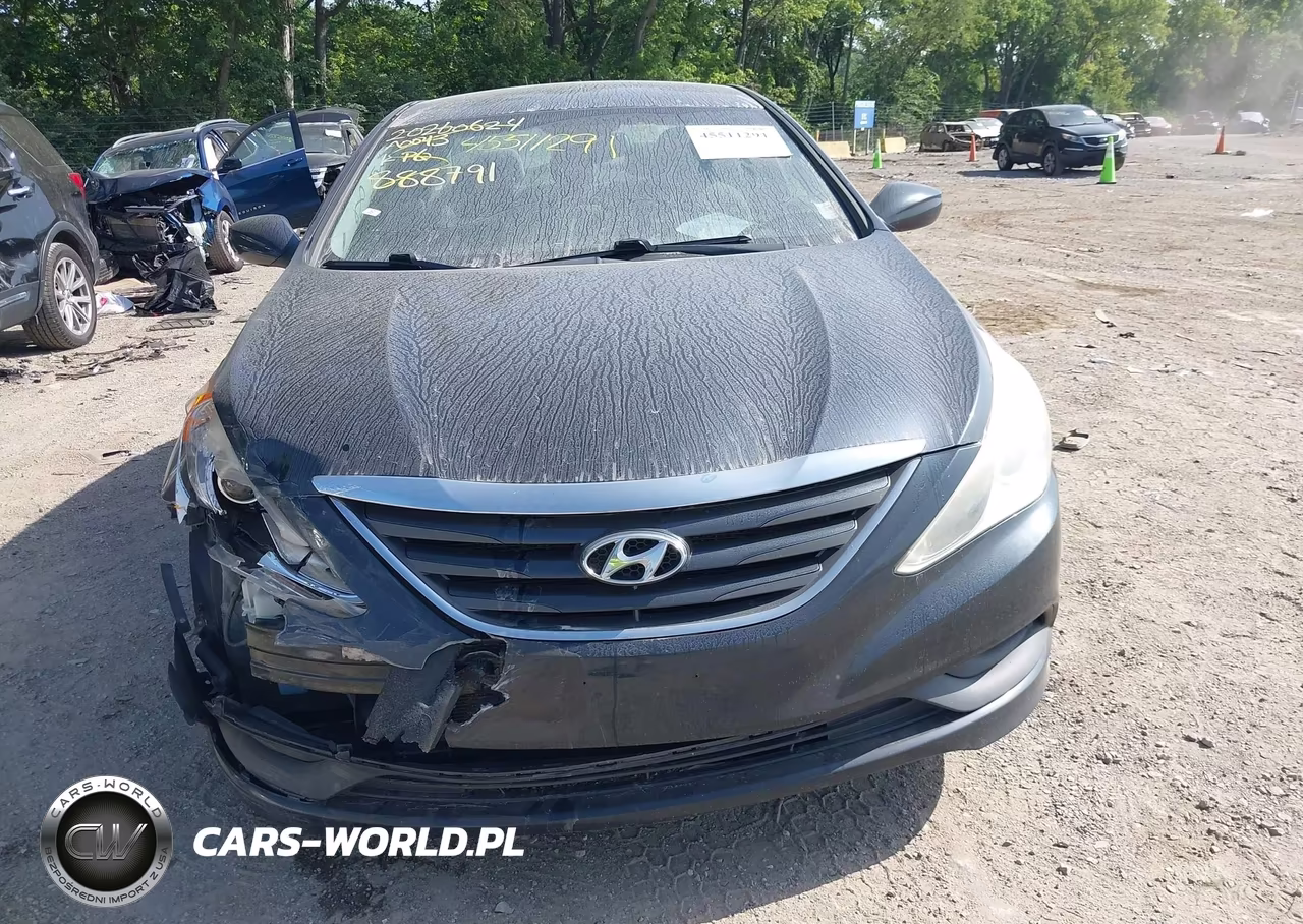 2014 Hyundai Sonata Gls VIN:5NPEB4AC9EH888791 - 12