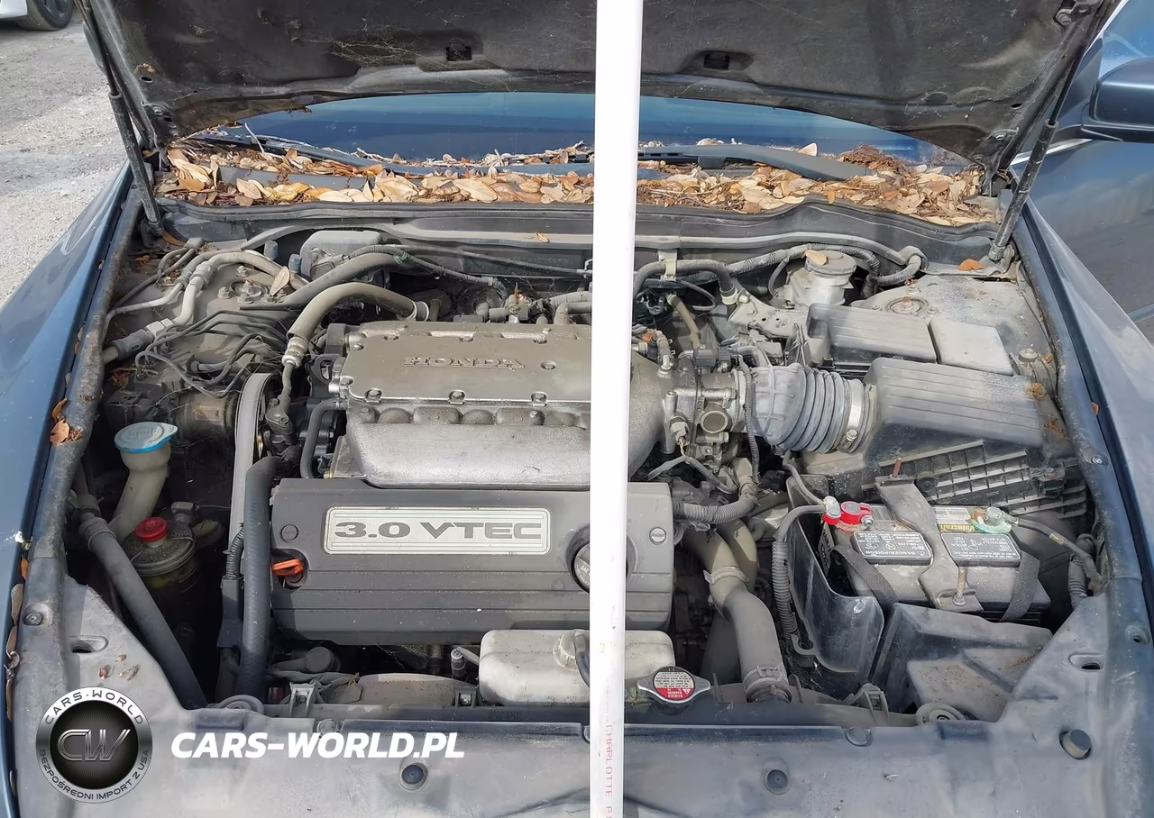 2006 Honda Accord VIN:1HGCM66874A075393 - 10