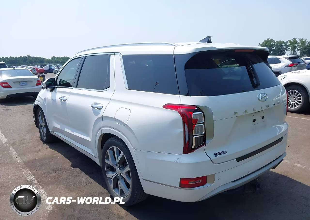 2021 Hyundai Palisade Limited VIN:KM8R5DHE4MU206609 - 3