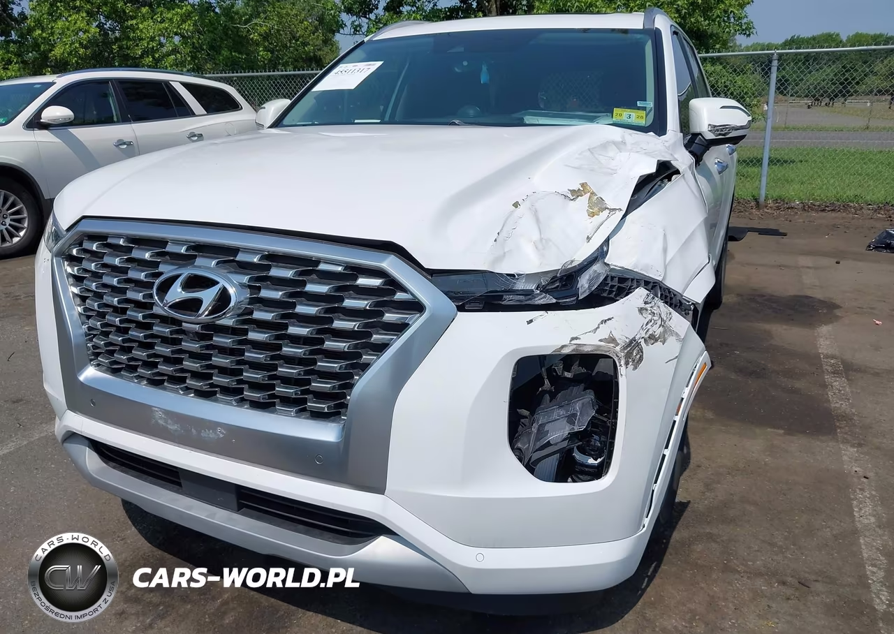 2021 Hyundai Palisade Limited VIN:KM8R5DHE4MU206609 - 6