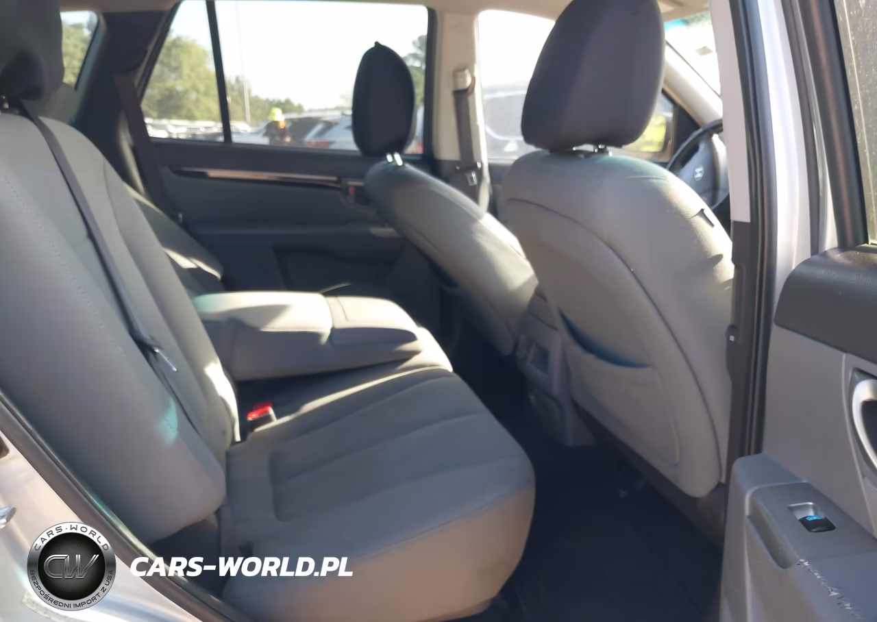 2010 Hyundai Santa Fe Gls VIN:5NMSG3AB1AH374866 - 8