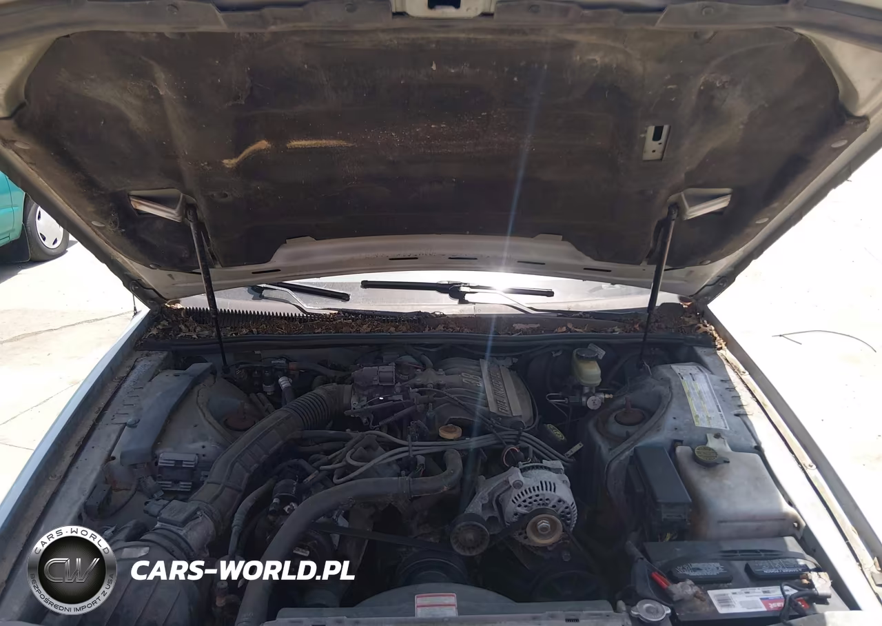 1994 Ford Thunderbird Lx VIN:1FALP6243RH130242 - 10