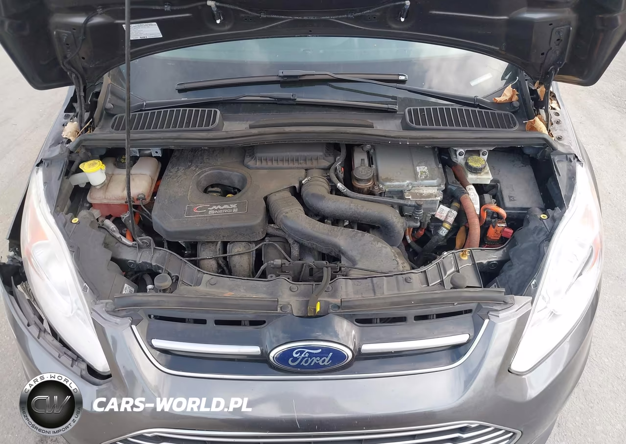 2016 Ford C-Max Energi Sel VIN:1FADP5CU1GL109252 - 10