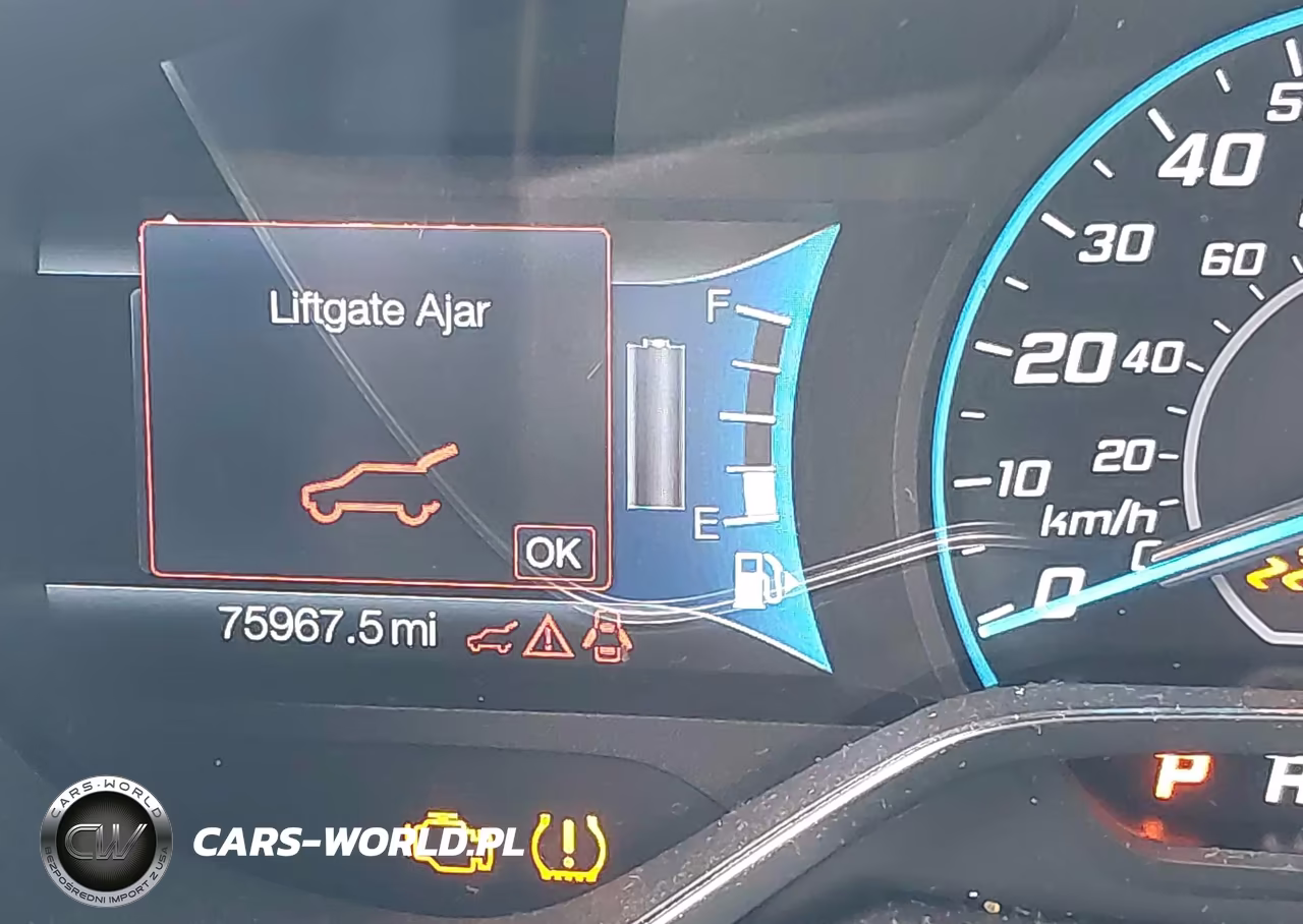 2016 Ford C-Max Energi Sel VIN:1FADP5CU1GL109252 - 21