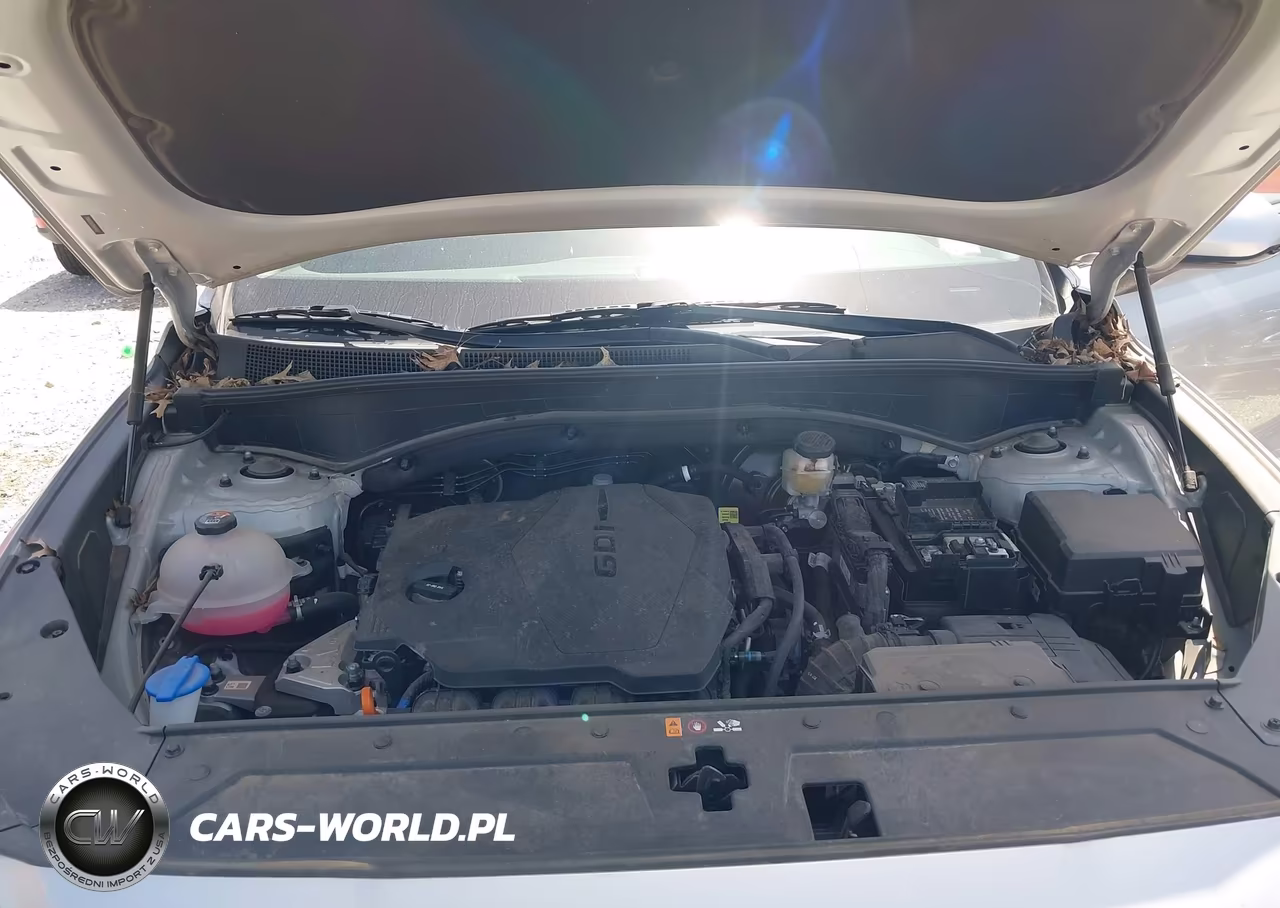 2022 Hyundai Santa Fe Sel VIN:5NMS2DAJ1NH454363 - 10