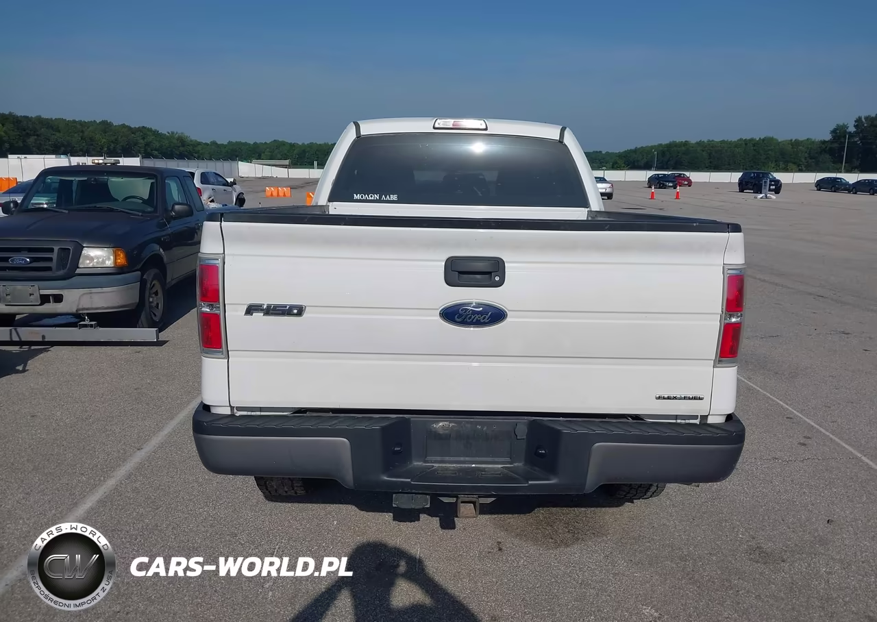 2013 Ford F-150 Fx4-Lariat-Stx-Xl-Xlt VIN:1FTFX1EF4DKE99453 - 16